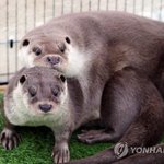 <b>전시</b>