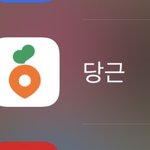 당근<b>마켓</b> 뭐임