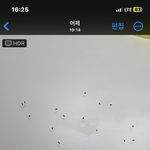 조언 부탁드립니다