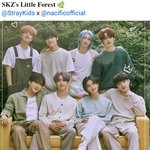 [스키즈] ㄴㅅㅍ 정말 이러시면 <b>곤란</b>해요