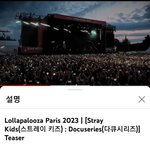 [스키즈] 이거뭐지 제왑 미쳤어요?