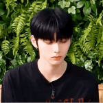 요새 보넥도 <b>태산</b> 좋음