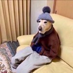 [드루와] 틱톡 고로켓 진짜 개말<b>라다</b>…