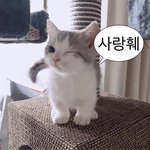 [댓글부탁해] 이 화장 <b>퍼</b><b>컬</b> 뭔지 궁예 좀