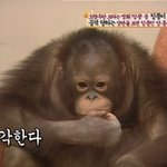 [댓글부탁해] <b>독서</b> 언매 각각