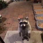 선택과목 <b>일대</b>일교환