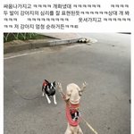 [댓글부탁해] 이쓰쓰) 오랜만에 웃긴짤&amp;웃긴썰 풀고가자 2탄!