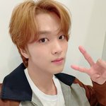[NCT드림] 해찬이 밝은 <b>갈색</b>머리 ㄹㅇ 오랜만이다
