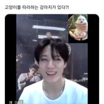 [NCT드림] 고양이 따라하는 제노좀 봐바 ㅠㅠ