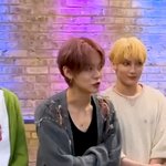 [<b>TXT</b>] 냥냥즈와 멍멍즈 차이