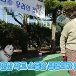 진돗개(?)를 귀여워하는 이병헌