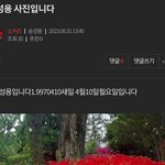 [스키즈] ❗️ 밑에글 방어 ( 여기서 봐 )