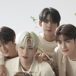 제베원 위에화즈 <b>겸업</b> 좀 해주라