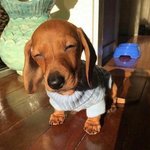 [댓글부탁해] 우리 부모님한테 들었던 제일 <b>속상</b>했던 말 배틀하자