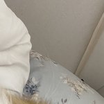 윽 고양이에 <b>질식</b>