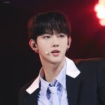 젤피야 얘네 데리고 왔으면