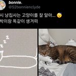 [TXT] 냥이<b>집사</b>
