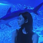 오늘 카리나 인스타 <b>업</b>뎃