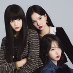 비비지 신기한점