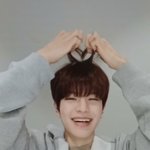 [스키즈] 지금까지 열심히 투표해준 테이들