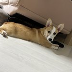 <b>꼬물</b>이 잘커요