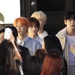 [TXT] 오늘 실물 보고싶어지는 영상 1위