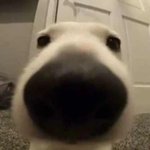 [드루와] 이런 렌즈 ㅊㅊ좀..