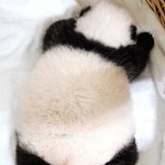 [댓글부탁해] istp intp <b>infp</b> 조합 편안하다