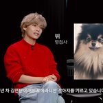 방탄 뷔 픽<b>시드</b>에서 개털림 ㄷㄷㄷ