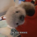 [드루와] 성범죄자알림이 보는데 진짜 솜방망이처벌ㅋㅋㅋ