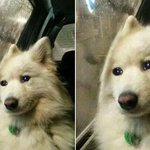 고2때 <b>내신</b> 좀만 더 챙길걸