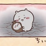 [댓글부탁해] 전문대 <b>탈주</b>한 사람 질받한다