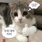 <b>니</b><b>넨</b> 이렇게 크진 말아야지 하는 어른상 뭐임