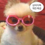 왕지성인들을 위한 기름<b>종이</b> 추천