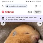 [댓글부탁해] <b>햄스터</b>는 최고의 동물