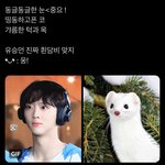 유승언 담비 <b>모에</b>화 찾아낸 언덕 ㄹㅇ 천재 같음