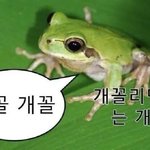 나만 <b>키</b> ㅈㄴ 안보냐?? ㄹㅈㄷ로안<b>봄</b>