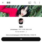 나 이사람 개좋아함