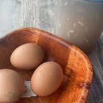 [19] 음식점 젓가락 <b>비녀</b>로 써도 됨?;