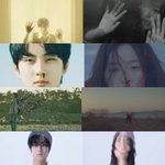 양정원 세계<b>관여</b>주설..