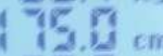 <b>남자</b> <b>키</b> 175cm 어떠냐?
