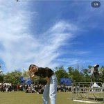 스우파 <b>바다리</b>랑 하울 사귄대