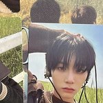 보넥도 <b>태산</b> 포카 예쁨