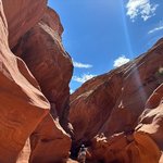 자연에서의 사진들 올린 블핑 제니 (<b>feat</b>.하이킹, 말)