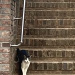 [댓글부탁해] 외모<b>정병</b>이 없는건 <b>말</b>이안됨