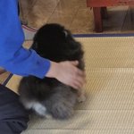 [군대] <b>연탄이</b>