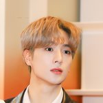 이재현 <b>무새</b> 등장