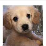 [드루와] 이 짤 보면 부모님이 왜 딸 <b>외박</b> 허락 안 해주는지