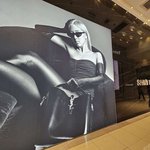 현재 글로벌 캠페인 4개 <b>진행</b> 중인 아이돌