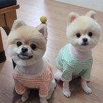 유승언 닮은꼴 이슈